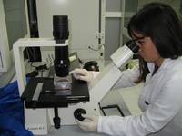 Medio de cultivo celular mejorado para células progenitoras (HPC) (Patente)